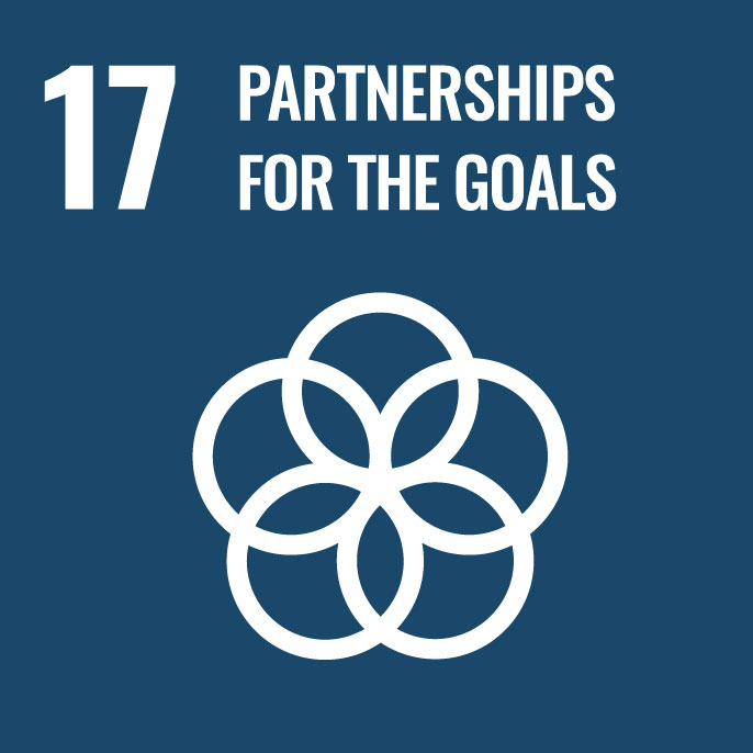 17 Achieving goals with partnership